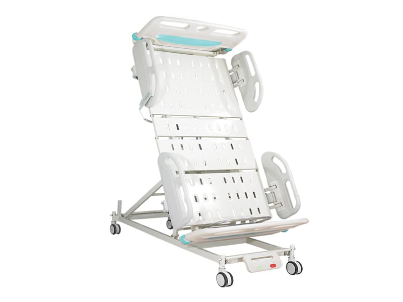Three-Function Electric Bed AGHBE003