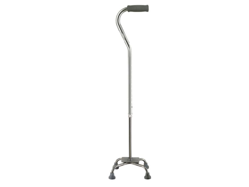 Walking Stick AGST020