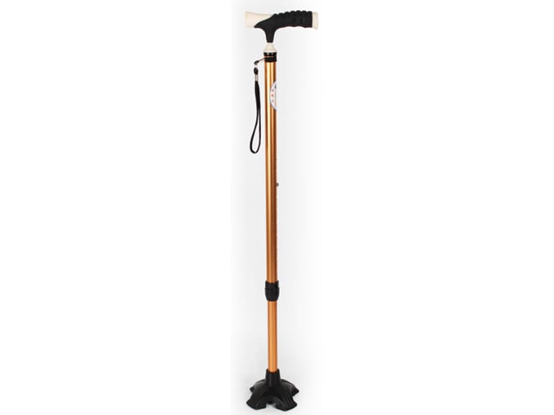 Walking Stick Series AGST011