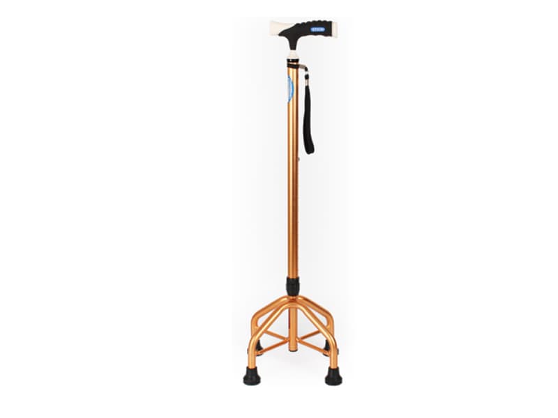 Walking Stick Series AGST012
